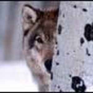 Meet your Posher, Ann